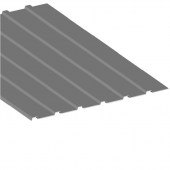 C10 RAL 9006